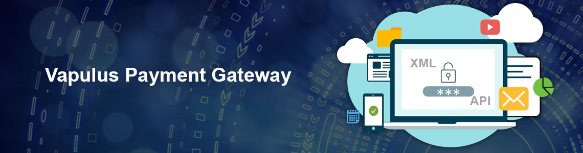 Vapulus Payment Gateway